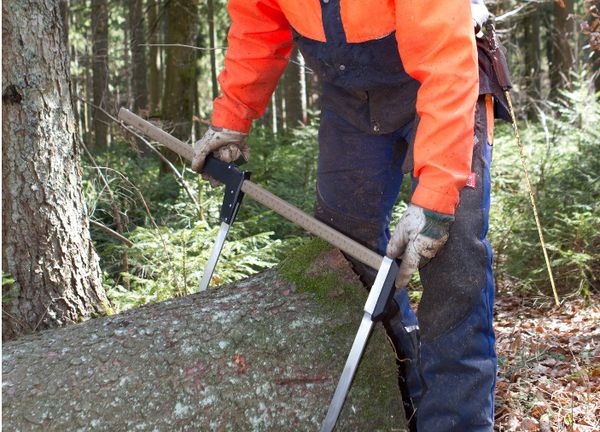 Messkluppe WALDMEISTER 80cm, mm-Teilung