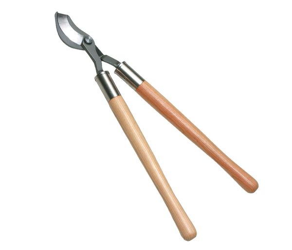 Große Astschere, L=72cm
